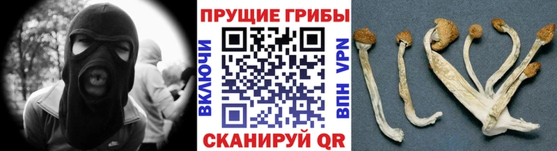 как найти закладки  Дальнегорск  Псилоцибиновые грибы ЛСД 